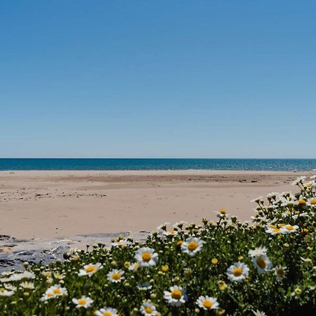 Pavillon Climatise 3 Pieces Avec Terrasse Et Garage, Proche Plage - 4 Couchages - Fr-1-409-68 Narbonne-Plage Luaran gambar