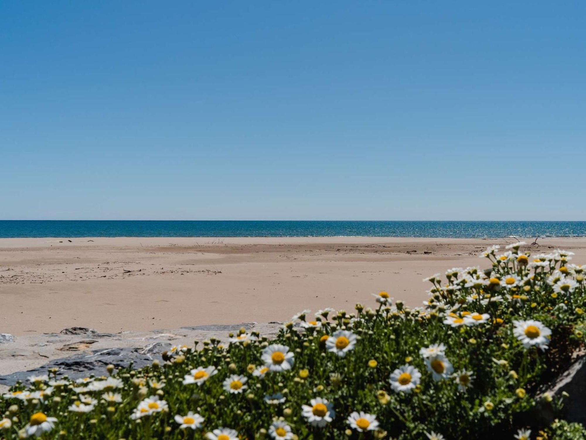 Pavillon Climatise 3 Pieces Avec Terrasse Et Garage, Proche Plage - 4 Couchages - Fr-1-409-68 Narbonne-Plage Luaran gambar